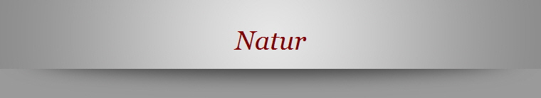 Natur