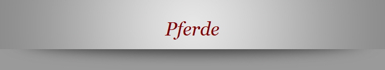 Pferde